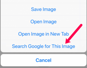 Touching and holding on an image in Chrome on a smartphone gives a menu option to "Search Google for This Image"