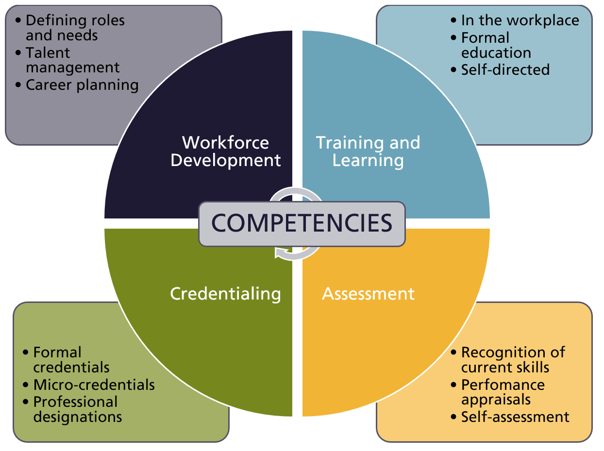 How To Describe Skills And Competencies