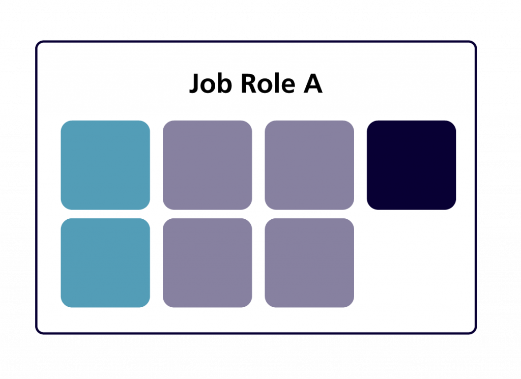 A series of boxes illustrating the competencies for one job role