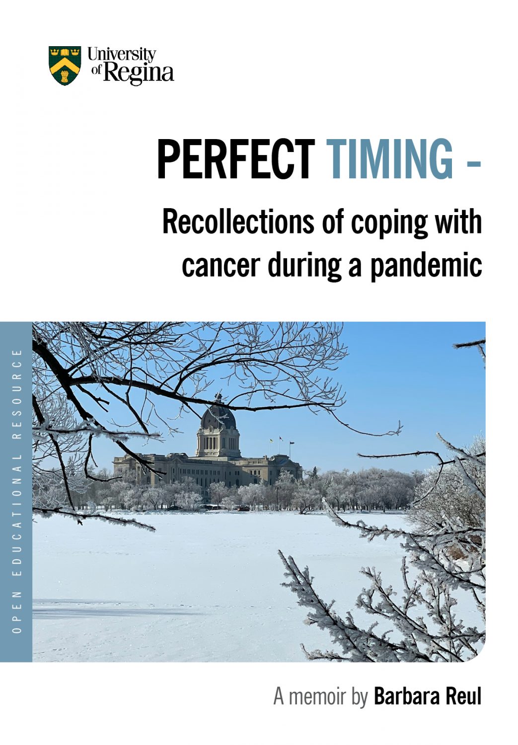 Cover image for PERFECT TIMING - Recollections of coping with cancer during a pandemic