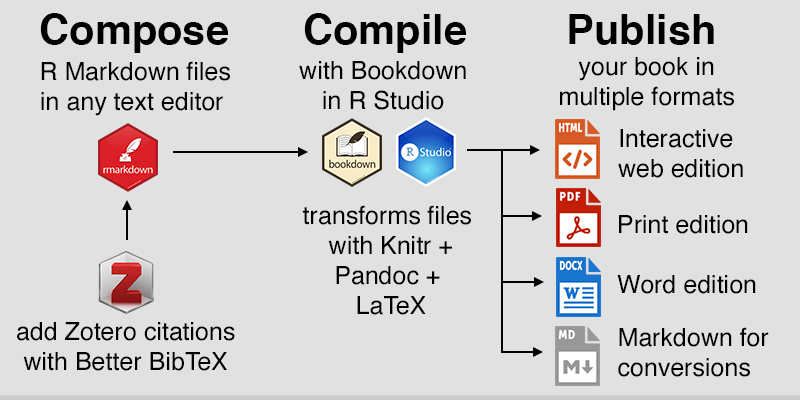 A graphic showing the workflow to create multiple document formats from an R Markdown file.