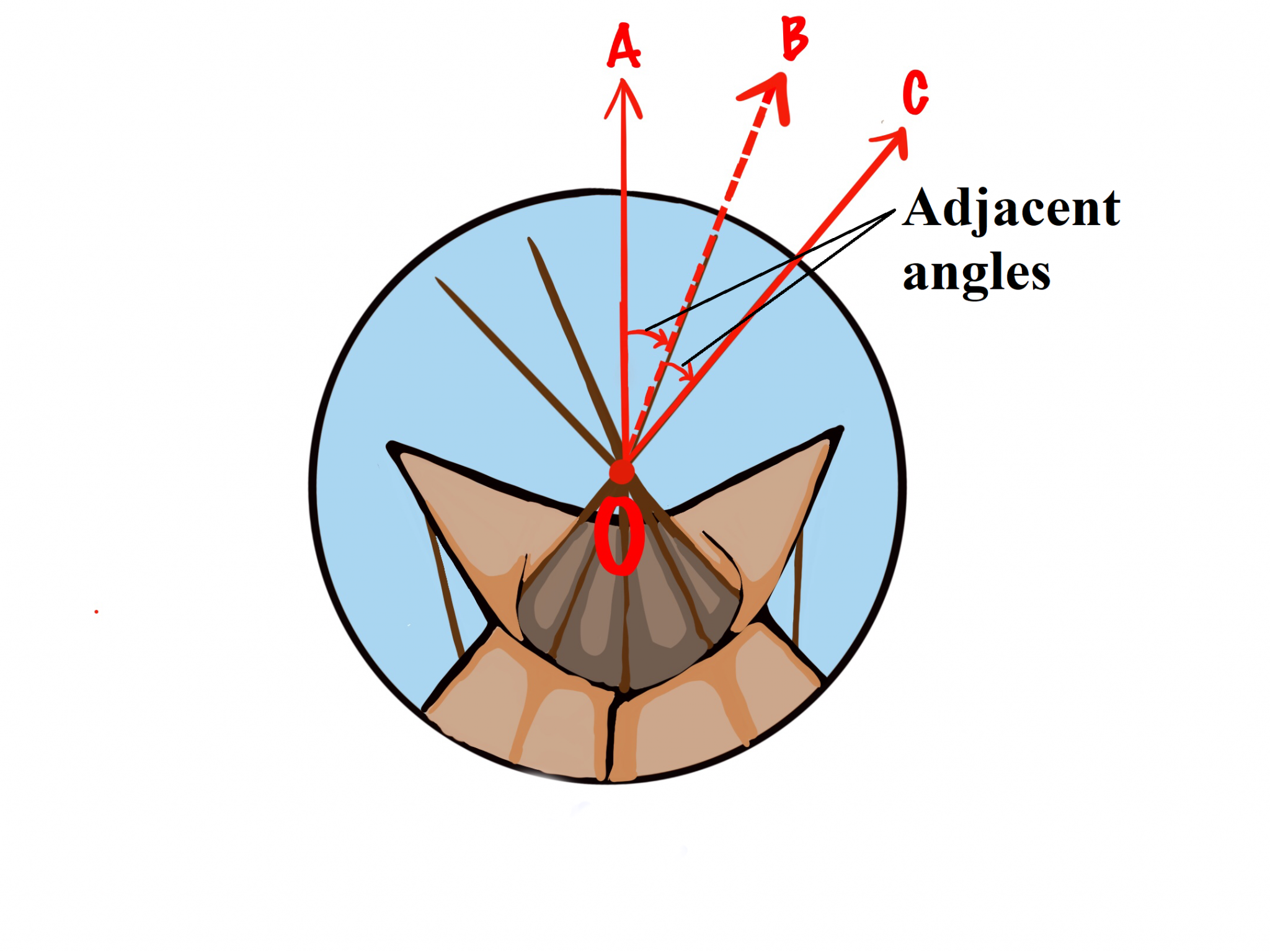 a-cree-dictionary-of-mathematical-terms-with-visual-examples