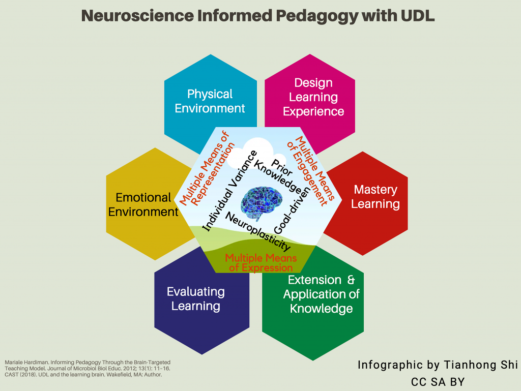 Neuroscience-informed Pedagogy With Udl Principles For Quality 