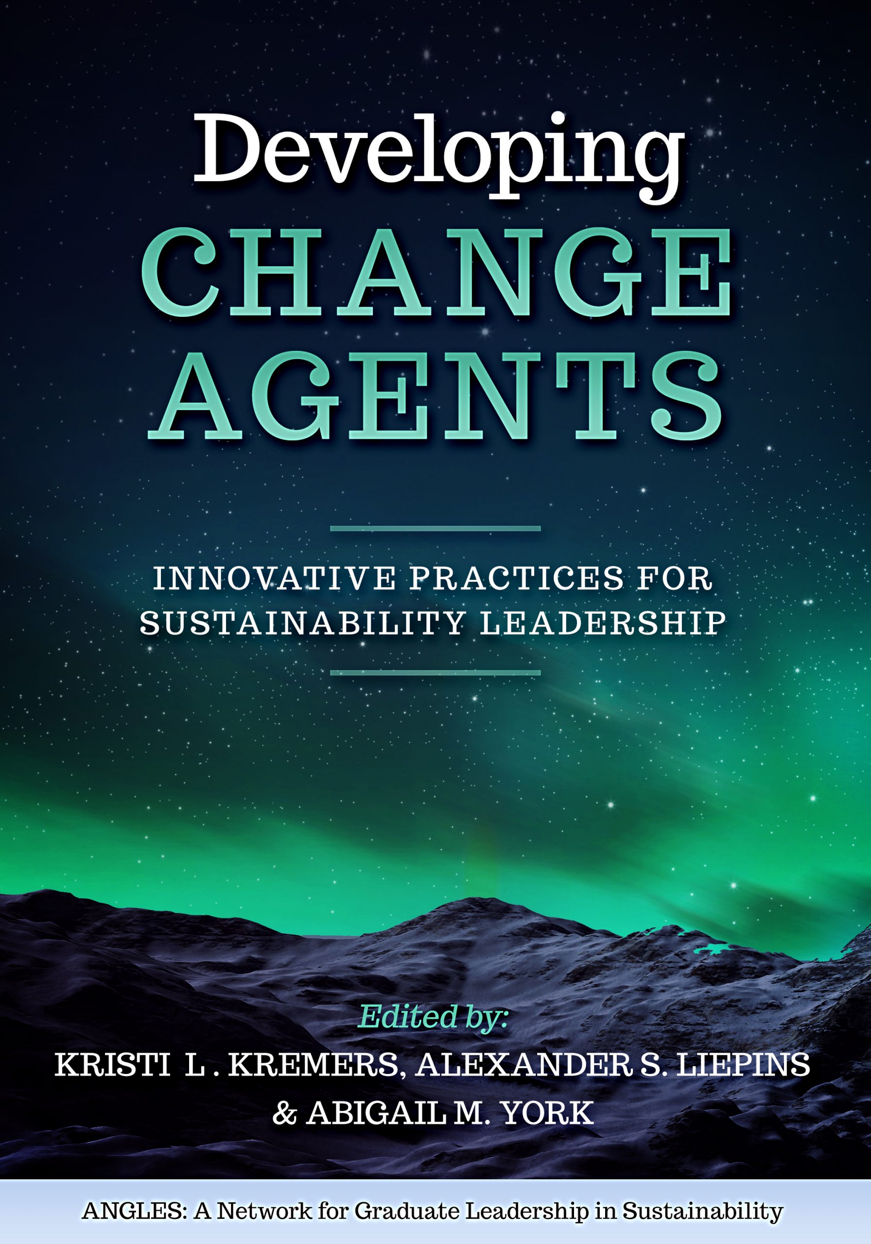 Cover image for Developing Change Agents