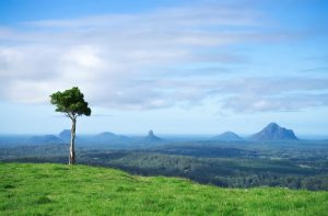 Scenery of One tree Hill Australia