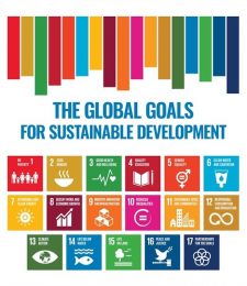 Introduction to the Sustainable Development Goals (SDGs) book cover