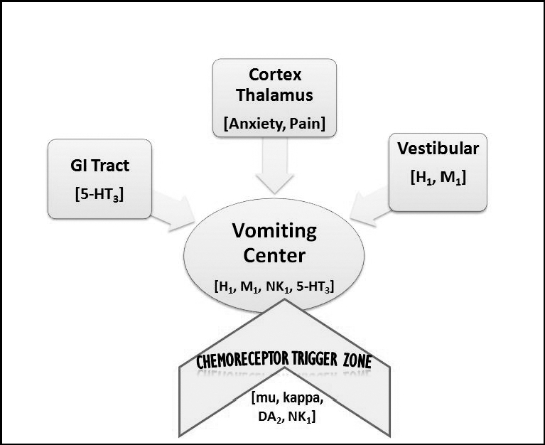 Chart showing pathophysiology of nausea and vomiting