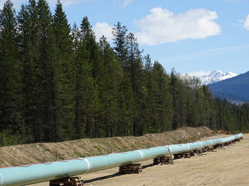 Pipeline construction site. Cleared dirt patch in the forest with a metal pipe resting on wooden blocks. Mountains rise into the blue sky in the background.