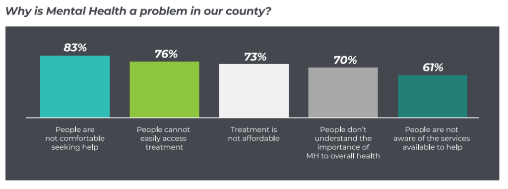 Image showing bar graph that depicts why mental health is a problem in our county