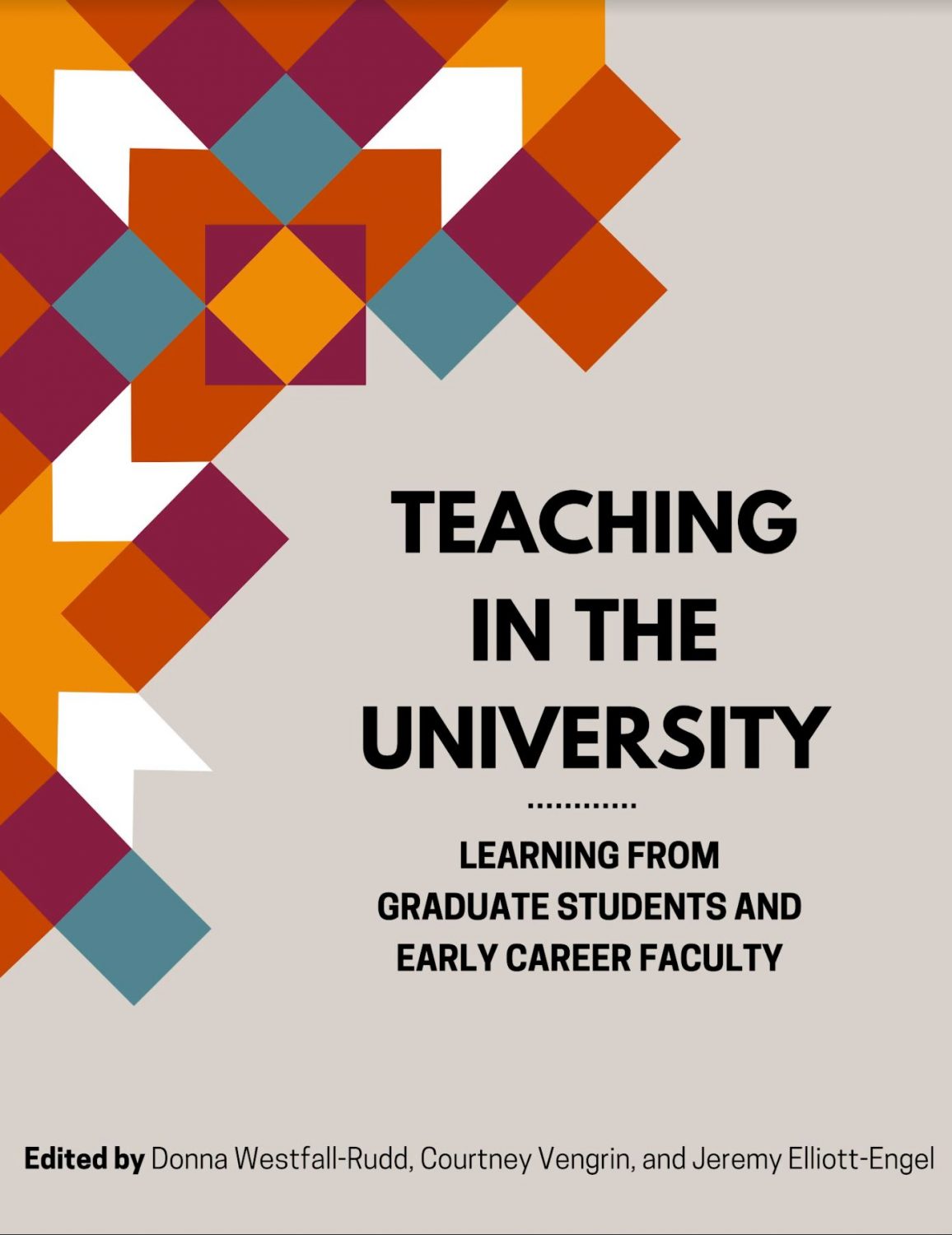 Cover image for Teaching in the University
