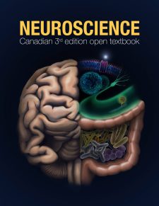 Neuroscience: Canadian 3rd Edition book cover