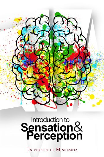 Cover image for Introduction to Sensation and Perception