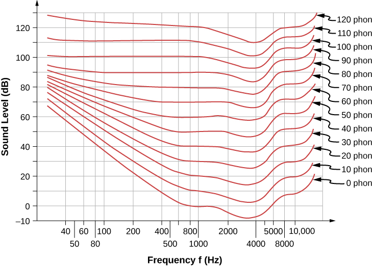 The graph shows a shallow U-curve, indicating the trend in hearing perception by intensity.
