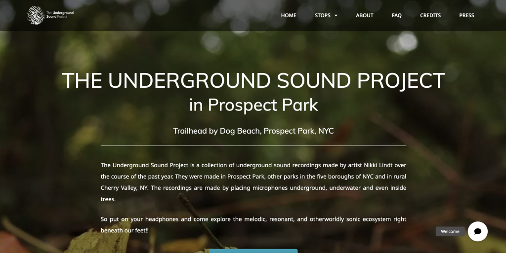 Screenshot of a project websites with a background image of a close up photograph of leaves at ground level, and text that reads, " The Underground sound Project in Prospect Park Trailhead by Dog Beach, Prospect Park, NYC," Followed by a short project description and two buttons to take the tour remotely or on iste.