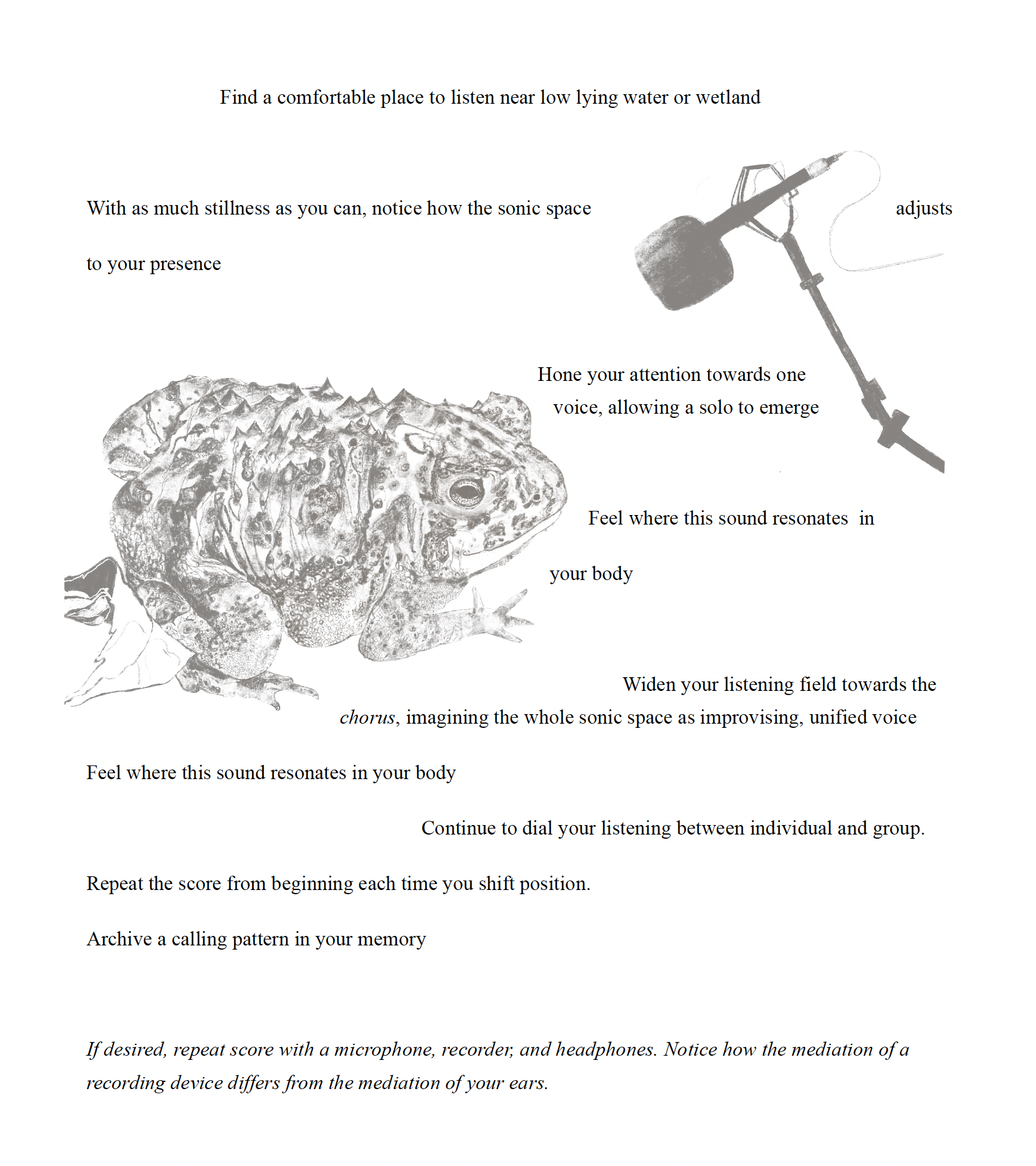 Grayscale drawing of a frog neaf a microphone, with the text: "Find a comfortable place to listen near low lying water or wetland. With as much stillness as you can, notice how the sonic space adjusts to your presence. Hone your attention towards one voice, allowing a solo to emerge. Feel where this sound resonates in your body. Widen your listening field towards the chorus, imagining the whole sonic space as improvising, unified voice. Feel where the sound resonates in your body. Continue to dial your listening beween individual and group. Repeat the score fom beginning each time you shift position. Achieve a calling pattern in your memory. If desired, repeat score with a microphone, recorder, and headphones. Notice how the mediation of a recording device differs from the mediation of your ears.