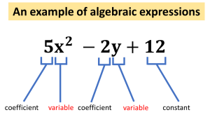 It is an example of algebraic expressions. Five times x square, minus two times y, plus twelve. Number five and two are coefficient. Letter x and y are variables. And number twelve is constant.