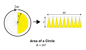 The area of a circle, approximated by a near-rectangle, is composed of segments. which Illustrates the formula used to calculate area of a circle - area equals to pie times the square of radius.