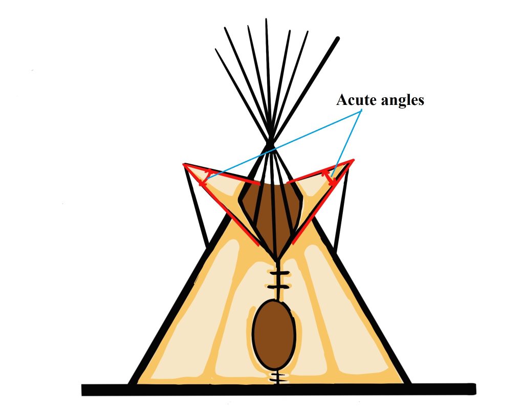 It is a drawing of a teepee. At the top, angles form between poles. Those less than 90 degrees are acute angles.