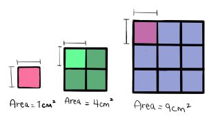 There are three squares in the figure. The first square with a side of 1 centimetre has an area of 1 square centimetre. The second square with a side of 2 centimetre has an area of 4 square centimetre. The third square with a side of 3 centimetre has an area of 9 square centimetre.