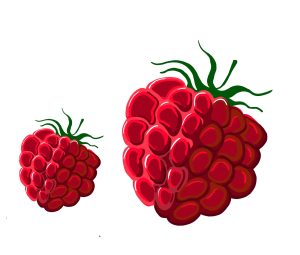 There are two raspberries. The one on the left is smaller than the one on the right.