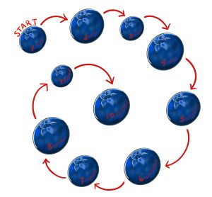 There are ten blueberries. They are labelled with numbers from one to ten. The counting starts at number one then goes in sequence till the number 10.