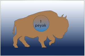 One bison on the screen. It is labelled as peyak.