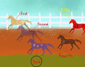 Five horses are racing. The fastest one is labelled as first. The ones follow are labelled as second, third, fourth, and fifth. The number three horse is labelled as the third.