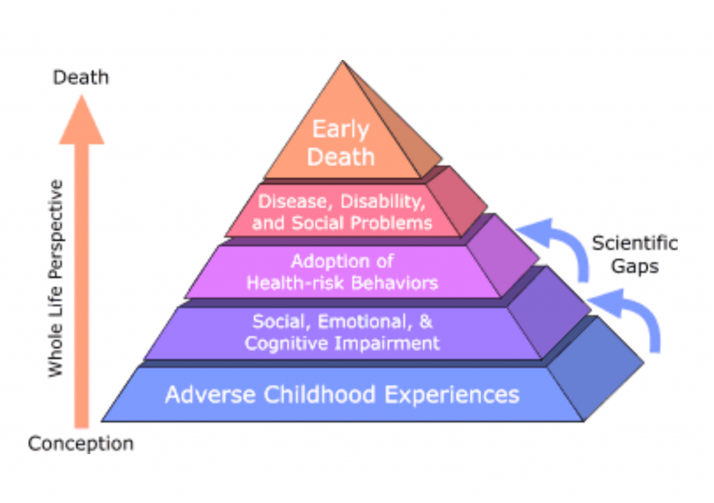 An image of the aces pyramid. From the bottom of the pyramid it starts with adverse childhood experiences, then social, emotional, and cognitive impairment. Next is adoption of health-risk behaviors, then disease, disability, and social problems. The top is early death.