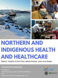Northern and Indigenous Health and Healthcare book cover