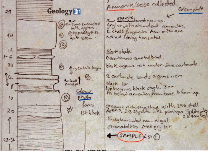 Image from a field notebook showing how to organize the data collected in the field.